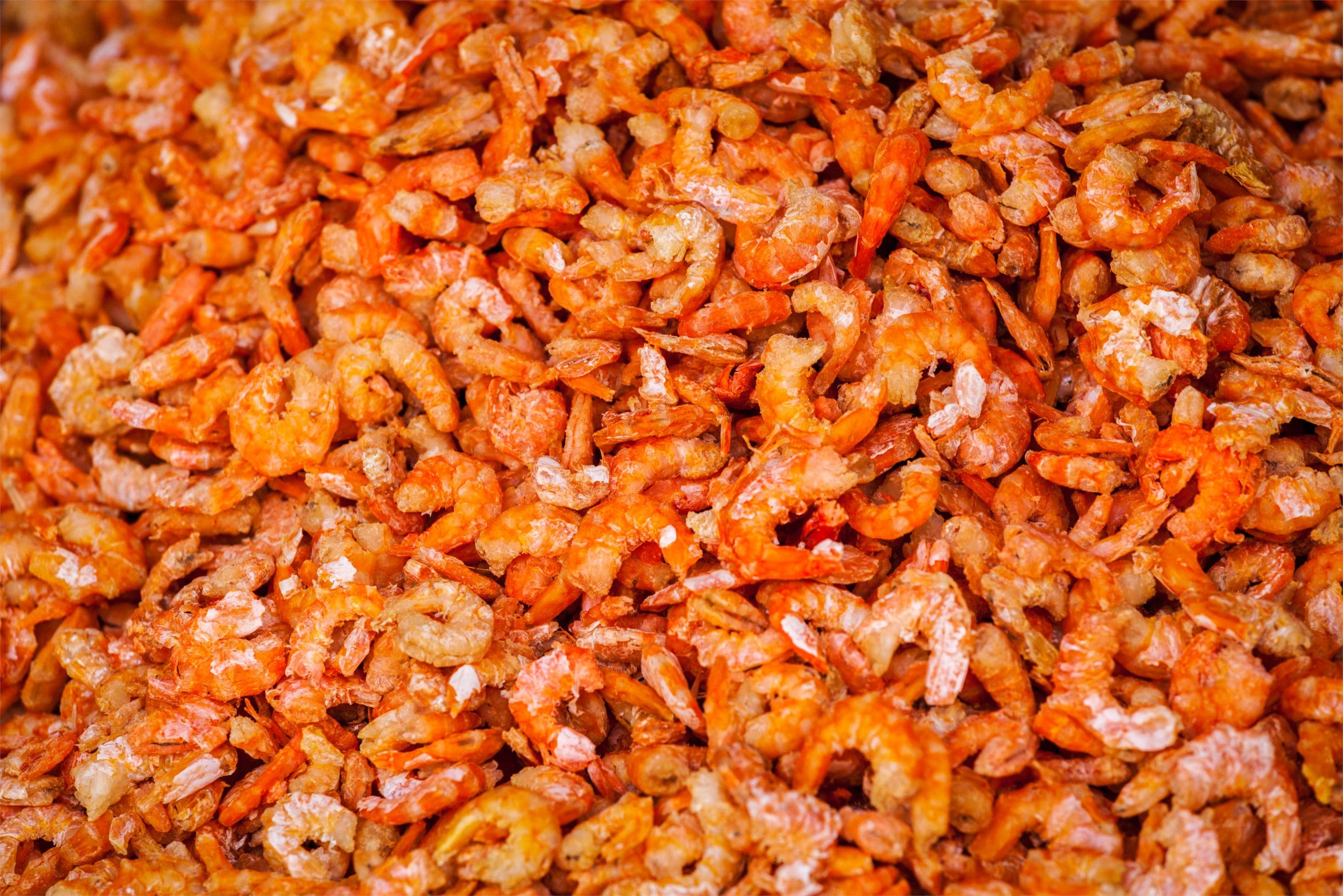 udang ebi premiun
